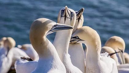 象山最新公积金卡提取现金方法app方法分析(最方便真实的象山公积金卡怎样从手机里取出来?方法)