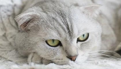 象山最新公积金卡提取现金方法app方法分析(最方便真实的象山公积金卡怎样从手机里取出来?方法)