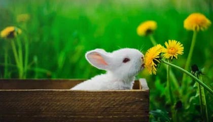 象山最新扫码商家付款如何撤销方法分析(最方便真实的象山扫码付款怎么撤销方法)